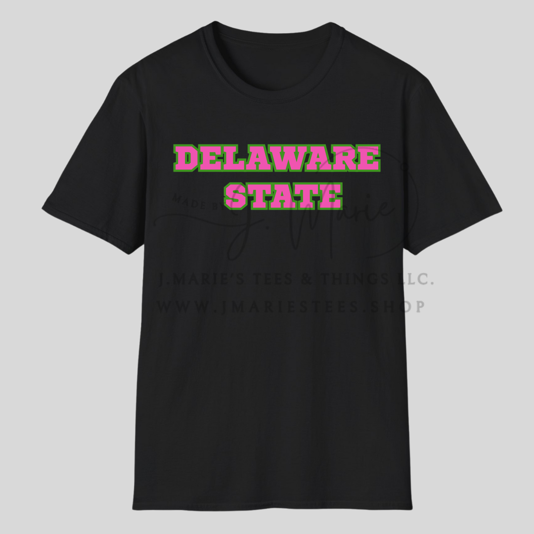 Delaware State Bold Block Tee – Pink & Green Power