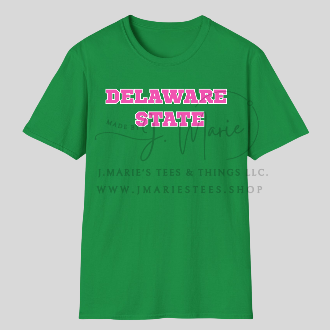 Delaware State Bold Block Tee – Pink & Green Power