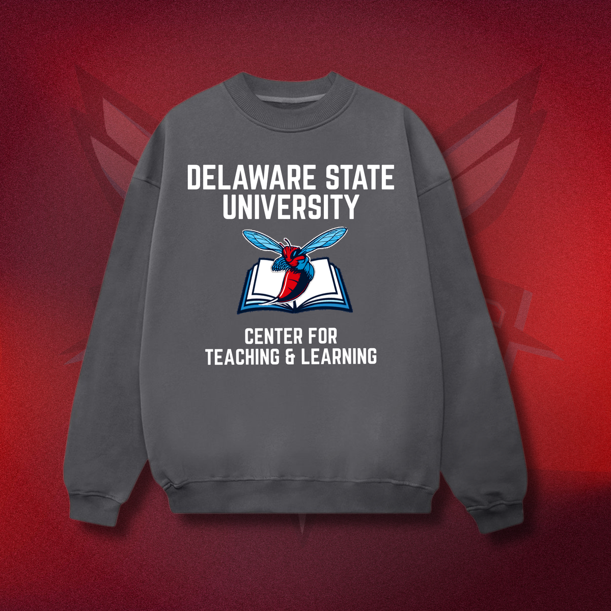 Delaware State University CTL T-Shirt & Sweatshirt